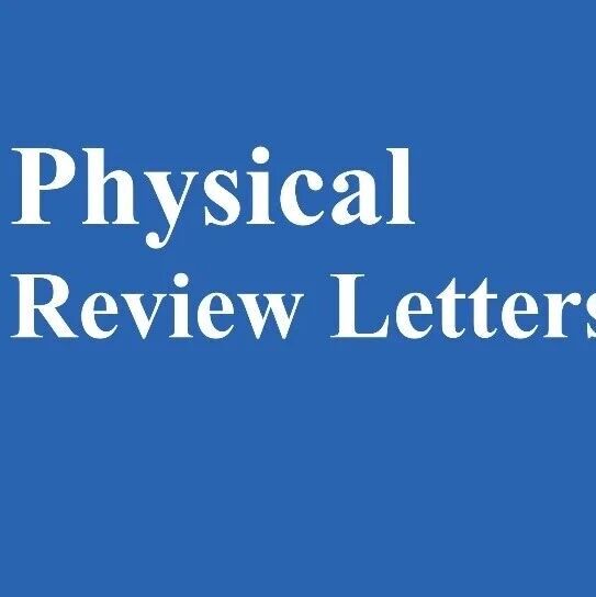 北京大学陈剑豪/刘少博团队Phys. Rev. Lett.: 奇异金属中量子几何诱导反常手性输运的发现