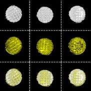 吕坚院士团队《Bioactive Materials》：3D打印大马士革图案钛钽合金促进骨修复