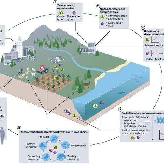 江南大学环境与生态学院王震宇教授团队在Nature Reviews Earth & Environment（IF = 74.1）发表重要综述文章
