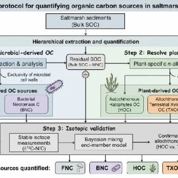 Catena  | 中国科学院华南植物园提出盐沼有机碳来源识别方法助力蓝碳碳信用核算