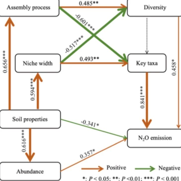 Environmental Research | 中国农业科学院肥料及施肥技术团队发现绿肥协同沸石缓解土壤N2O排放的微生物机制