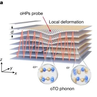 国家纳米科学中心/上海交通大学/北京大学/苏州实验室Nature: 利用双曲极化激元探测皮米尺度层间形变