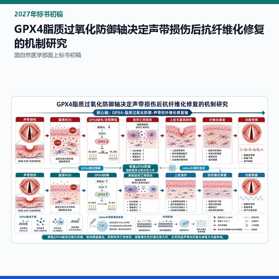 【2027年标书初稿】GPX4脂质过氧化防御轴决定声带损伤后抗纤维化修复的机制研究
