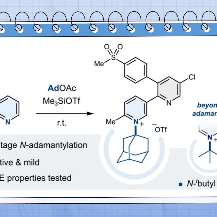 【JACS】德国亚琛工业大学：吡啶的后期N-金刚烷基化