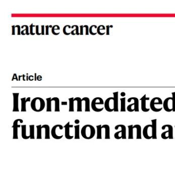 浙大团队 Nature Cancer 揭秘：铁死亡损害CAR-T细胞功能和抗肿瘤疗效