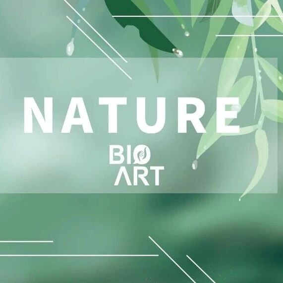 Nature丨CENP-A染色质异常驻留保护端粒延长替代性肿瘤中的端粒完整性