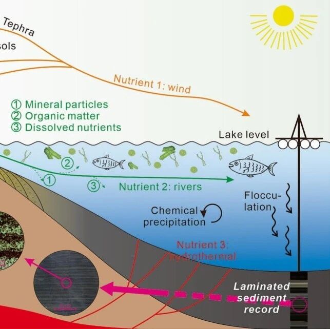 Geosci. Front. | 断陷湖盆页岩地层的高分辨率天文记录及其纹层沉积过程启示