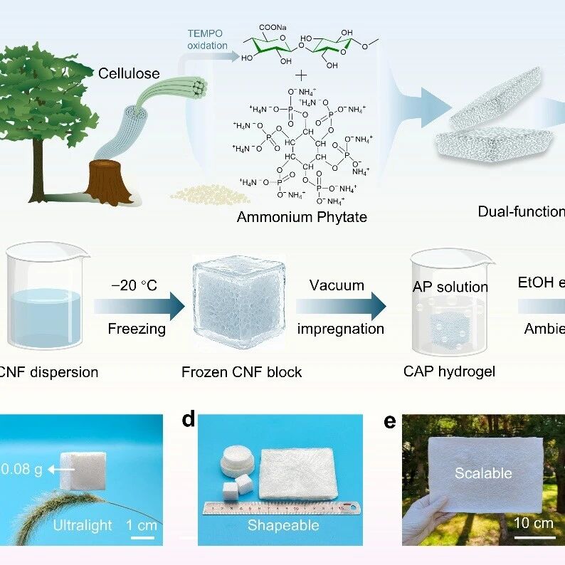东北林业大学程万里教授、韩广萍教授团队《Carbohyd. Polym.》：基于植酸铵单组分双功能策略构建的常压干燥阻燃隔热纤维素干凝胶