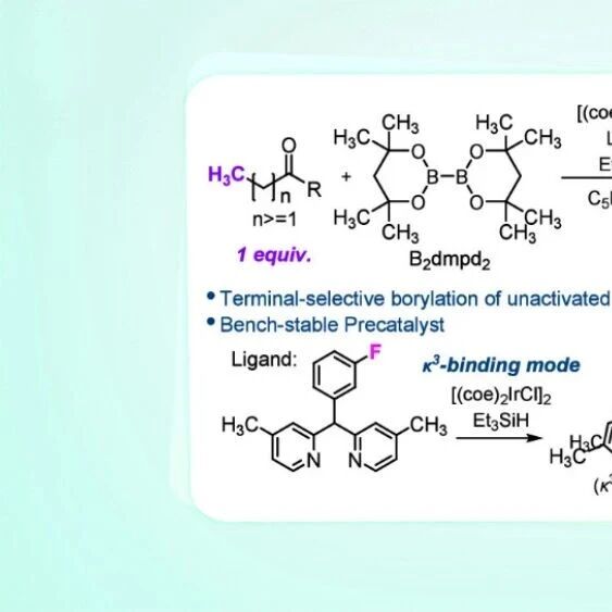 【JACS】范德堡大学Schley教授：铱催化羰基衍生物末端选择性sp³ C–H键硼化反应