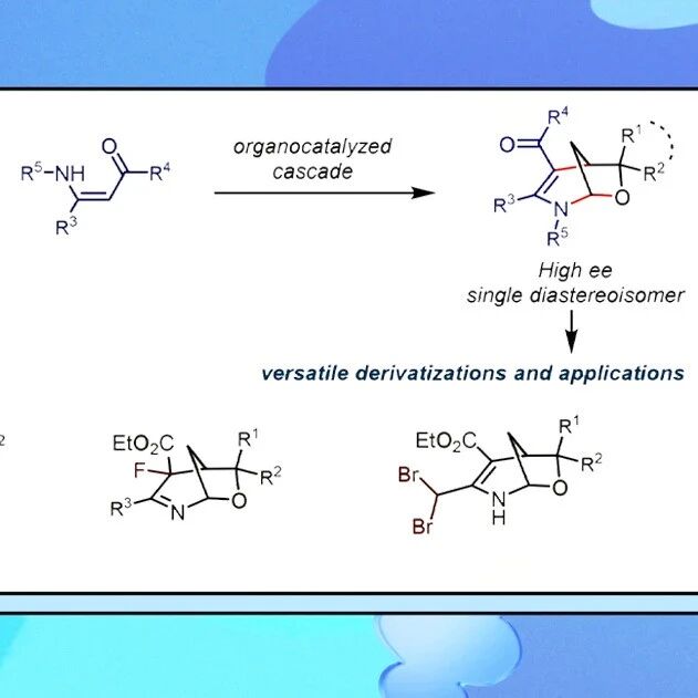 【Chem. Sci.】首都医科大学马登科、王玉记/华中师范大学张之涵：有机催化对映选择性合成桥联N,O-缩醛双环骨架及其衍生化