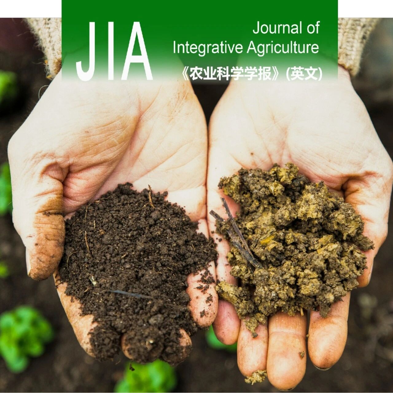 JIA | 机器学习驱动有机固废堆肥氮素损失预测与调控策略研究