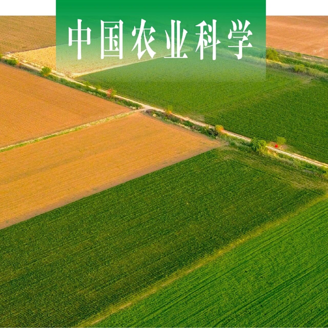 中国农业科学｜西北农林科技大学王东教授团队揭示气候变暖驱动农业气候分界线时空迁移及其粮食产量效应