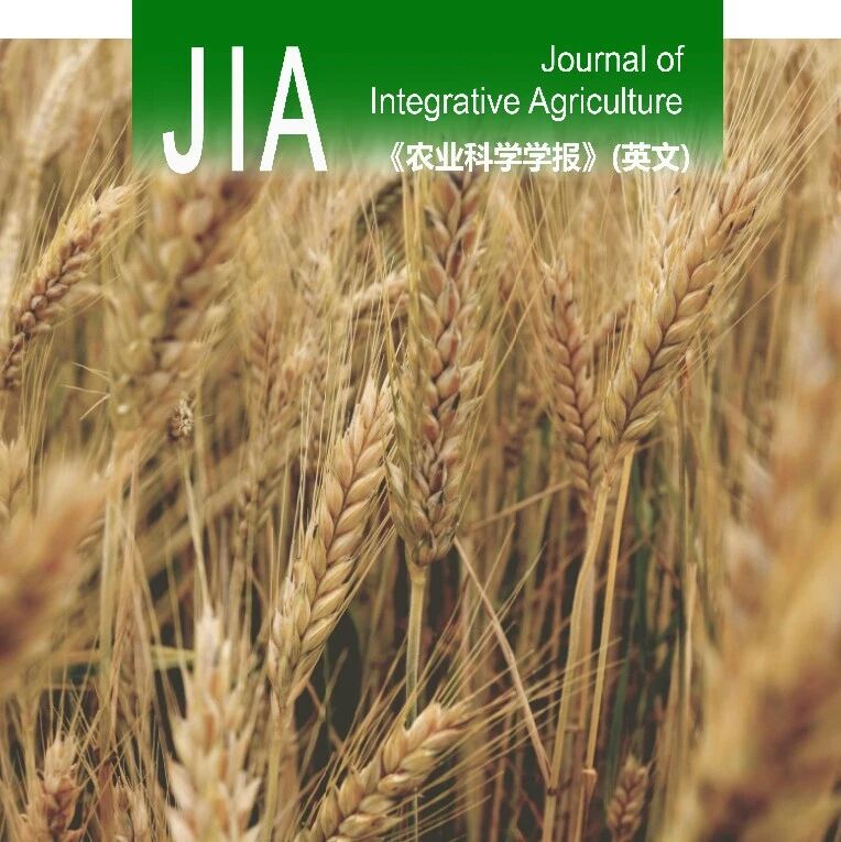 JIA优先上线 | 扬州大学朱新开教授团队揭示新型碳基肥通过优化土壤理化性状和微生物群落结构实现小麦生产潜力和土壤肥力协同提升