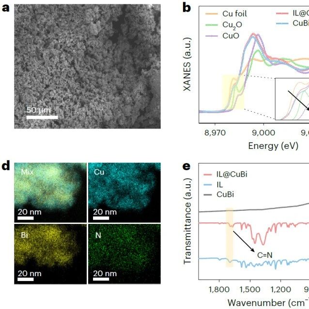 研究前沿：韩布兴院士领衔！化学所，高效电合成尿素 | Nature Nanotechnology