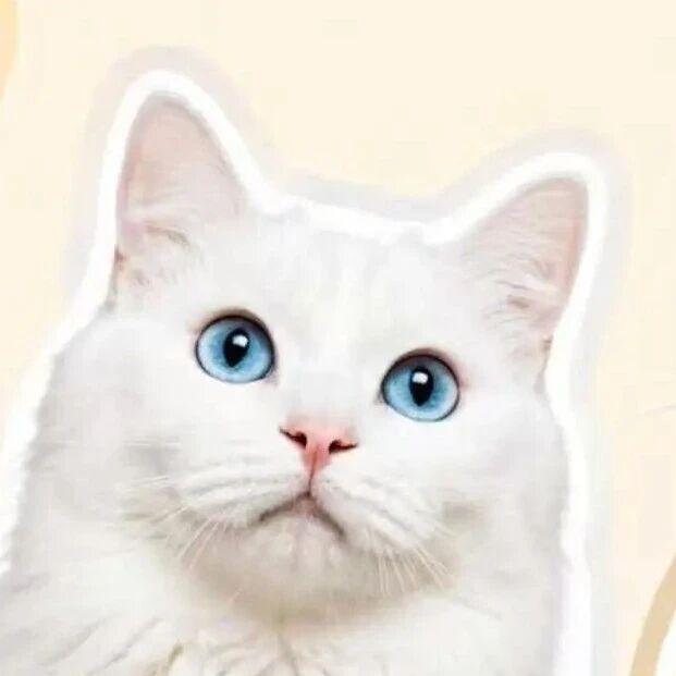 橘猫友好、白猫冷漠？猫咪的毛色真能决定性格吗？