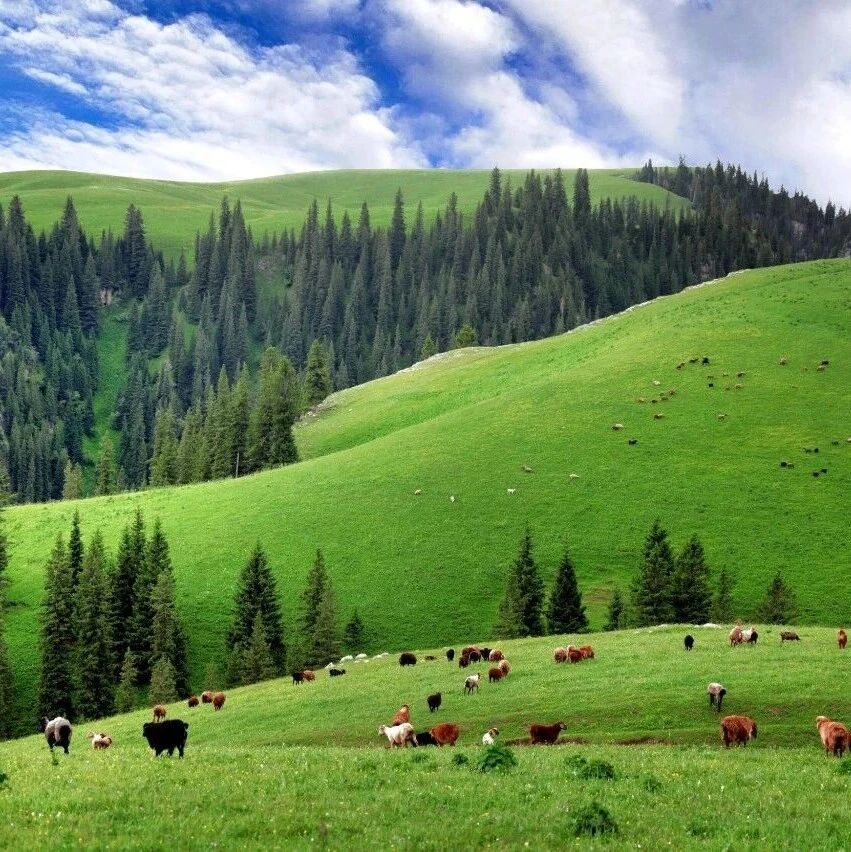Nature Climate Change | 兰州大学草地农业科技学院刘敏教授发表关于草地恢复的相关研究