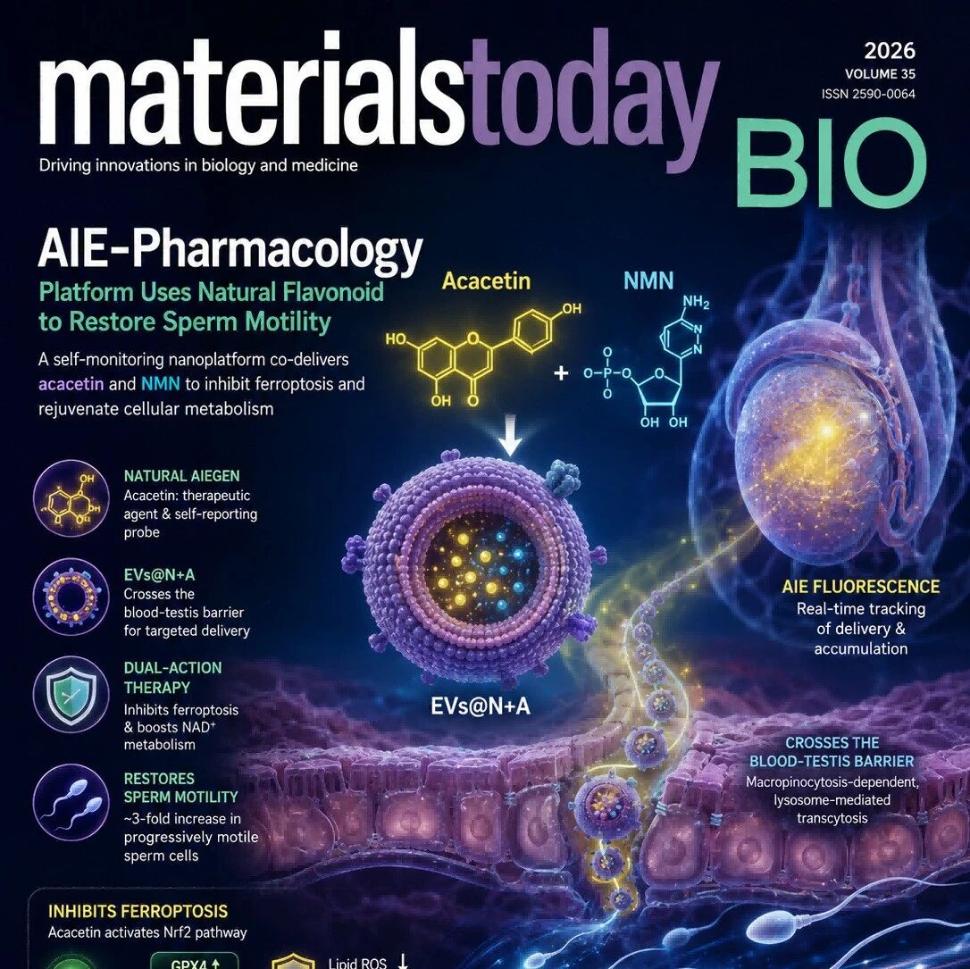浙江大学于兴华研究员团队在Materials Today Bio发表研究：基于“AIE药理学”策略实现天然药物金合欢素“药像合一”精准治疗弱精子症