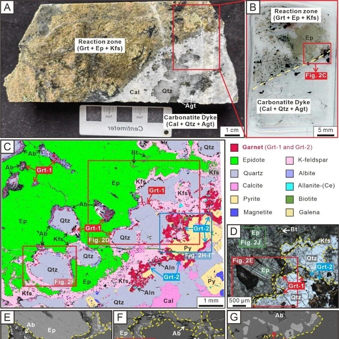 Geology | 蒋少涌教授团队：与含稀土铌碳酸岩有关的反矽卡岩和矽卡岩交代反应研究取得新进展
