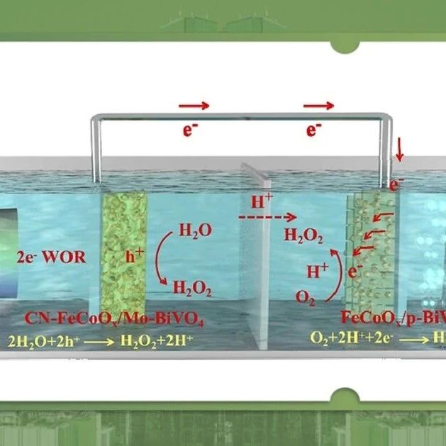 重庆师范大学田甜、付文升团队和兰州大学丁勇团队合作Appl. Catal. B: Environ.：BiVO₄双光电极光电化学水氧化与氧还原耦合制备H₂O₂