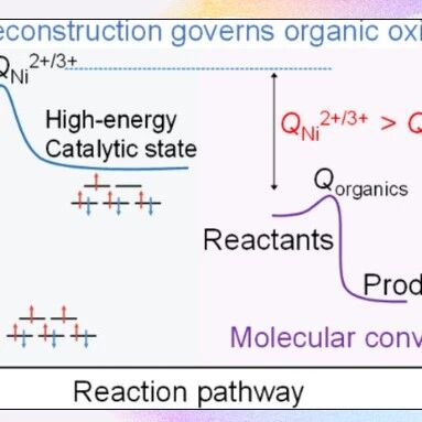 【ACS Catal.】南京大学闫世成教授：催化剂重构至高能态主导有机电氧化过电势的起源
