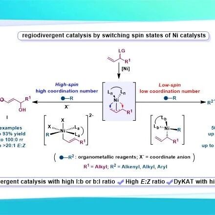 上海交通大学张万斌/高峰团队JACS：Ni催化剂自旋态切换调控区域发散性转化