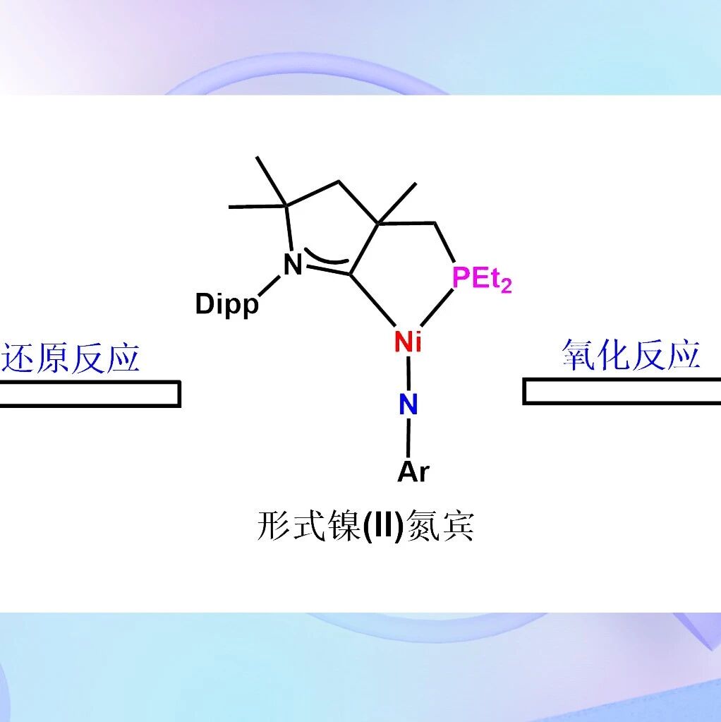 【JACS】国科大楚甲祥/中大叶生发：稳定镍氮宾的三种不同氧化态
