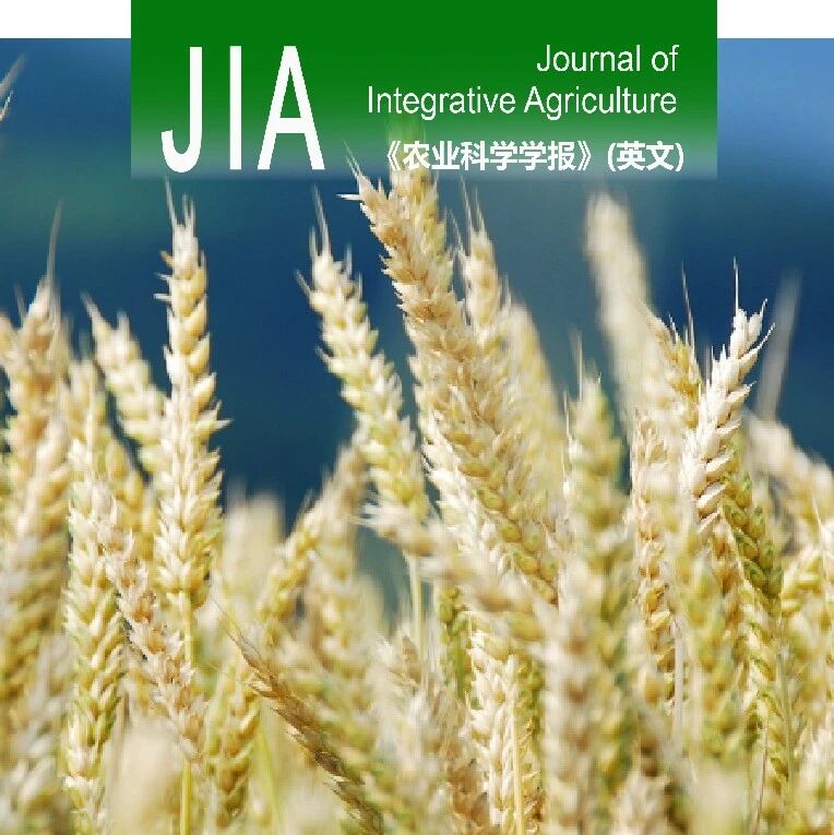 JIA | 南京农业大学智慧农业创新团队提出量化氮钾互作对小麦生长影响的新指数