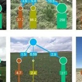 PNAS | 南京农业大学土壤生态学团队揭示干旱导致土壤有机碳碳储量降低的关键机制