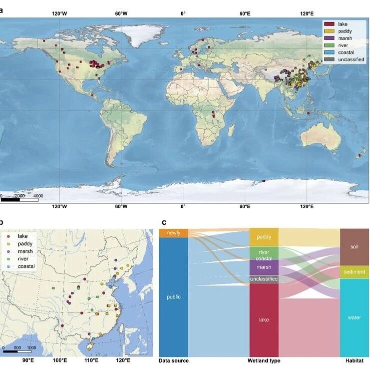 Scientific Data | 浙江大学生命科学学院程磊-肖璟团队发文构建全球湿地微生物宏基因组数据库