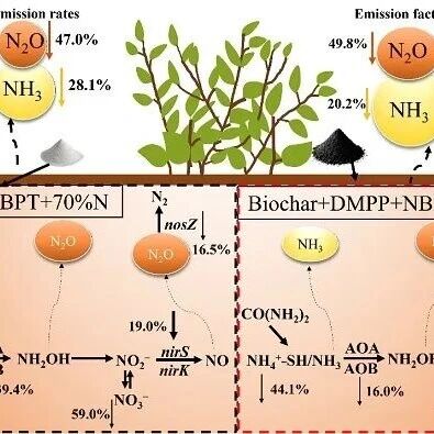 Biochar | 双抑制剂配施生物炭对亚热带茶园N2O与NH3排放的协同减排效应取得进展