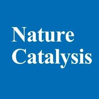 终结长期争论！清华大学陈迪/中科大胡素磊，重磅Nature Catalysis（IF=48.3）！
