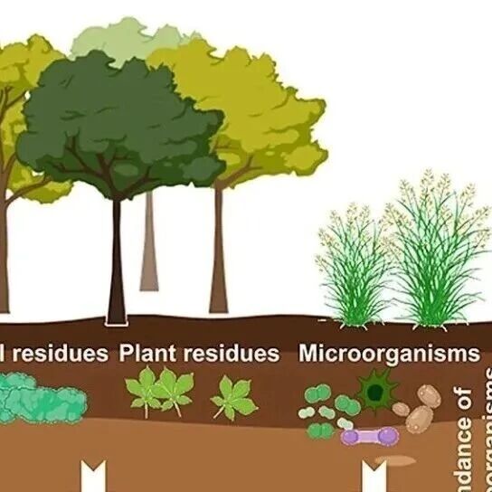 SBB | 微生物胞外聚合物质的增加是深层土壤有机碳积累的关键因素