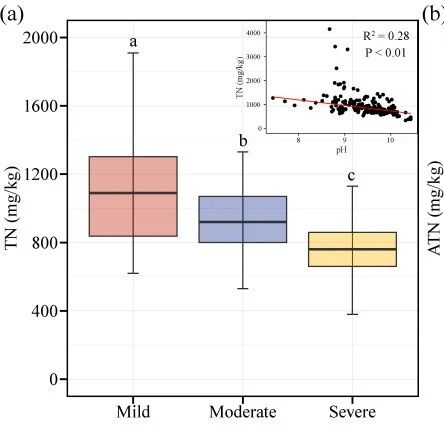 Soil & Tillage Research | 中国科学院东北地理所在苏打盐碱地稻田有机氮组分特征研究方面取得进展