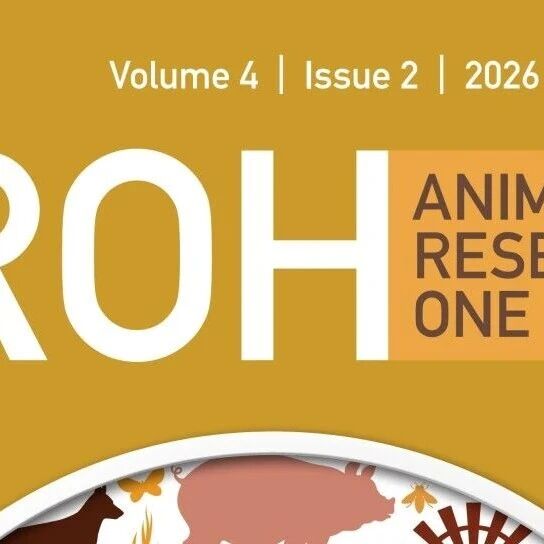 IF 5.3｜AROH 重磅学术指标发布