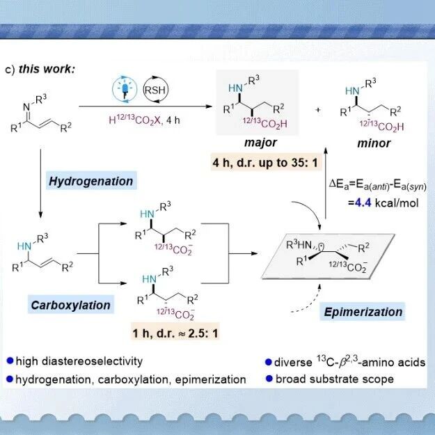 【Angew. Chem.】山东师大唐波/杨朋/李平：可见光驱动氢化-羧化-差向异构化级联反应非对映收敛合成[¹²C, ¹³C] β²’³-氨基酸
