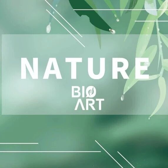 Nature | SIRT7调控X染色体剂量补偿效应，充当雌性X染色体“守护者”