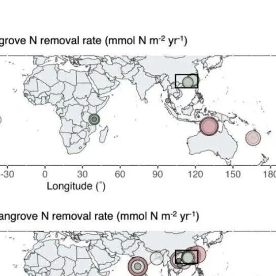 Earth’s Future  | 从蓝碳到蓝氮：红树林的经济价值，被忽略了