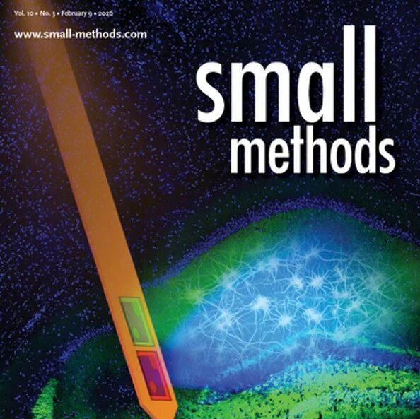 【Small Methods 特刊】神经界面，正在重写人机连接的边界