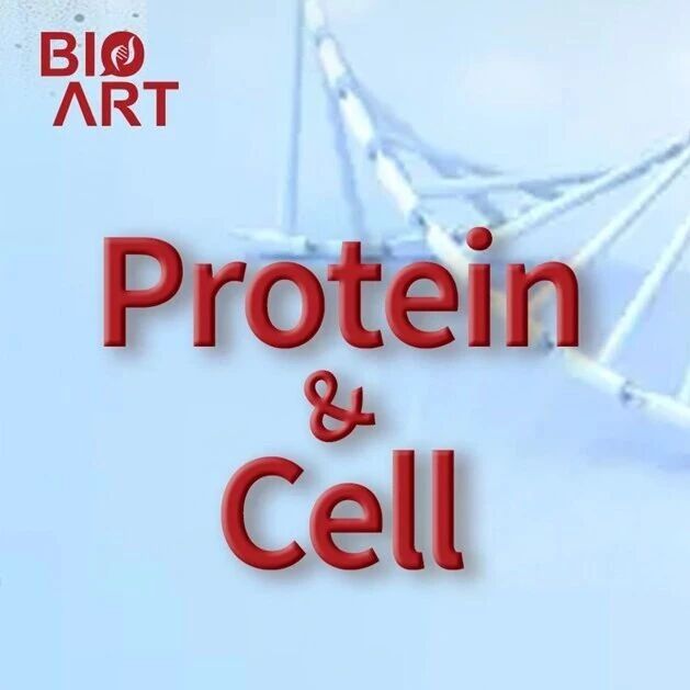 Protein & Cell | 余巍/林金钟课题组开发mRNA-LNP递送策略缓解小鼠早衰表型
