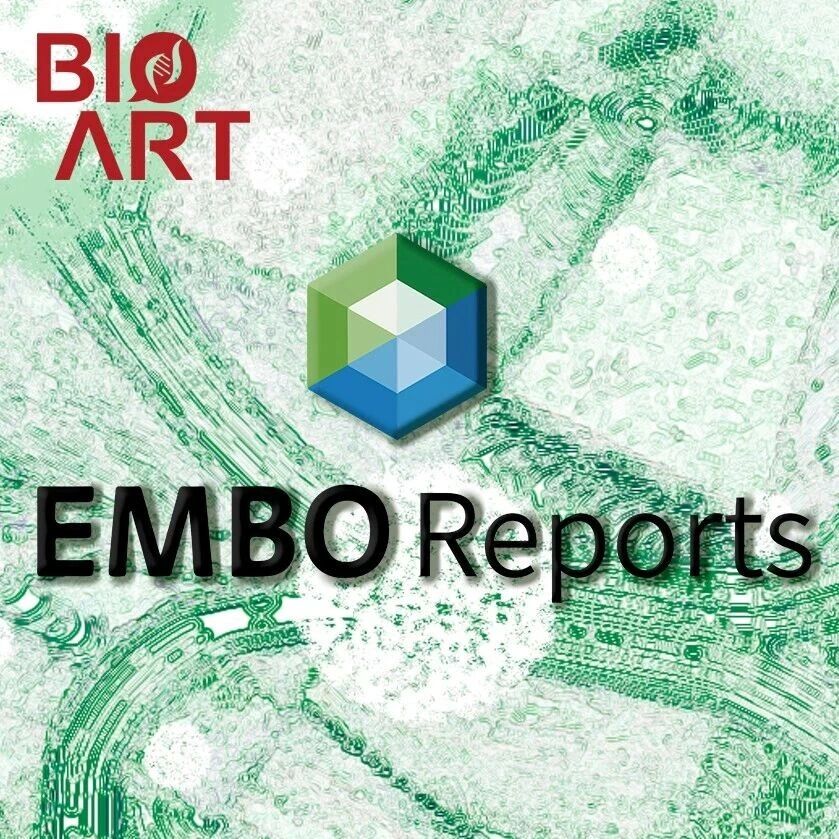 EMBO Rep | 高福/宋豪/刘严团队揭示H5Ny禽流感病毒跨宿主适应性演化的新机制