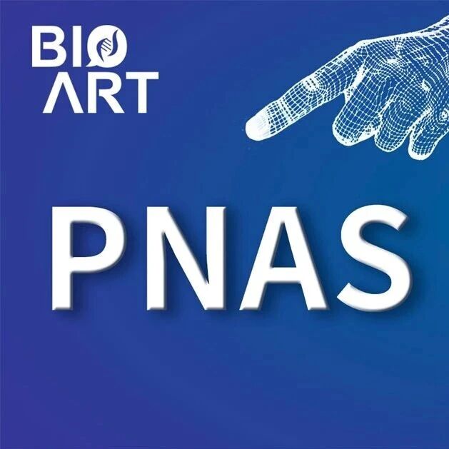 PNAS | 林晓蓉/徐新平/郑芳林团队合作破译人类病原真菌减数分裂起始调控机制