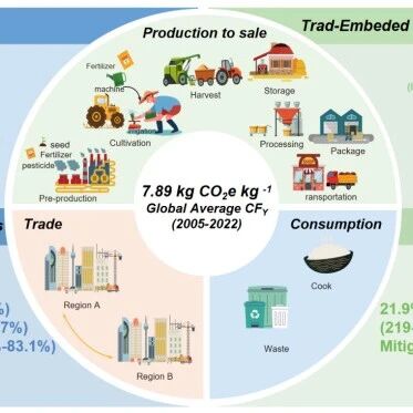 European Journal of Agronomy  | 定量评估全球稻米贸易转移碳足迹及减排潜力