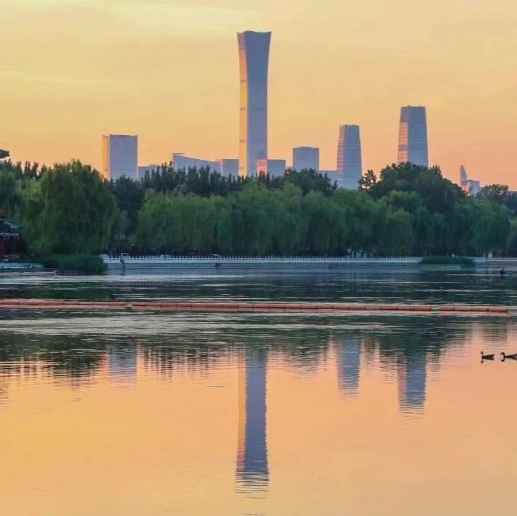 701项 - 第二十六届中国专利奖评审结果公示