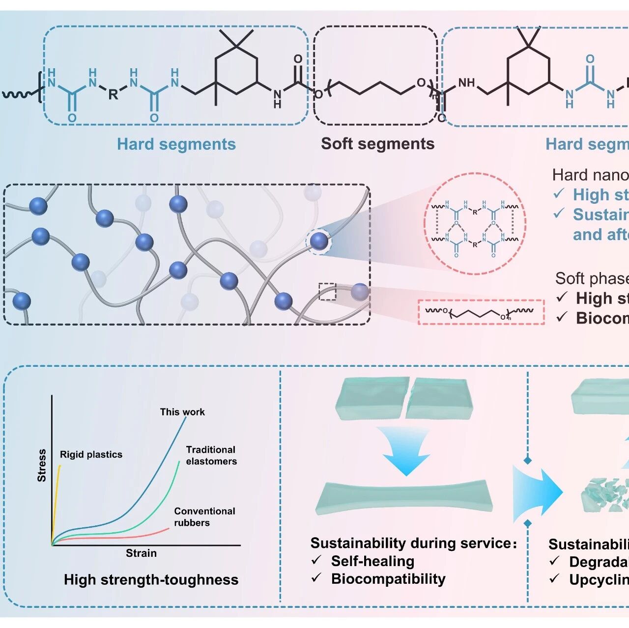 四川大学雷景新教授、符笑伟副研究员 Macromolecules：通过强氢键增强纳米结构设计可持续高强韧热塑性弹性体