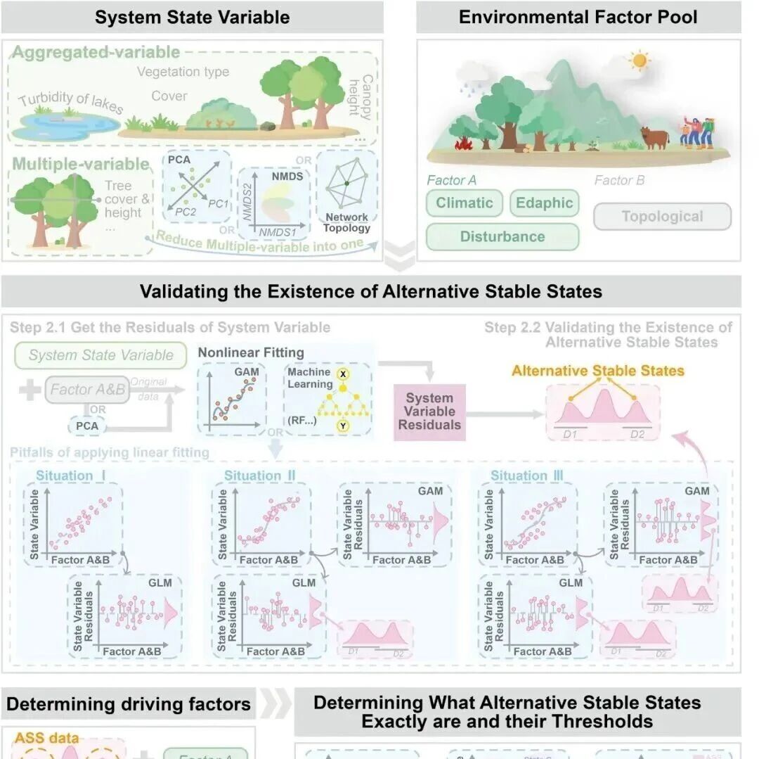 Methods in Ecology and Evolution：兰州大学赵长明教授课题组提出识别生态系统多稳态的野外调查方法框架