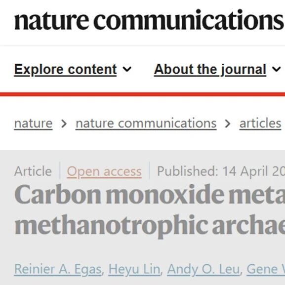 【美文赏析】荷兰拉德堡德大学Cornelia U. Welte团队Nature Communications: 淡水厌氧甲烷氧化古菌中的甲烷代谢