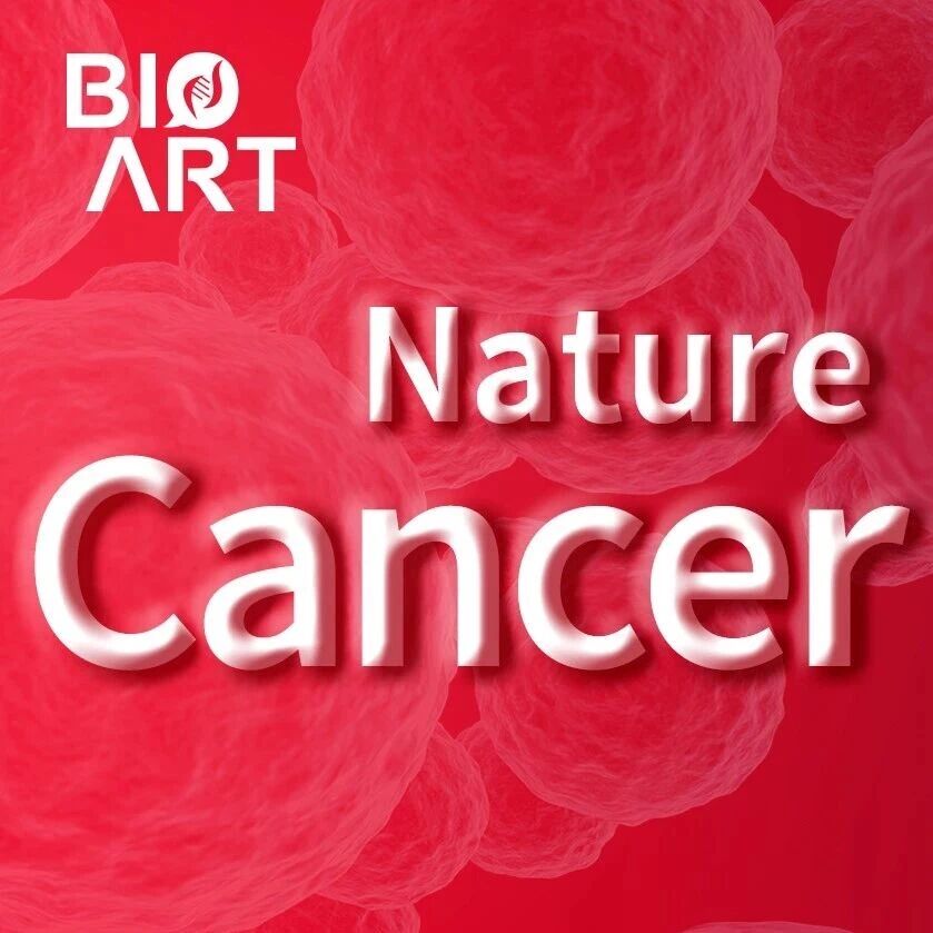 Nat Cancer | 李凌团队揭示靶向ADSS2重塑嘌呤代谢可逆转AML对BH3模拟物耐药