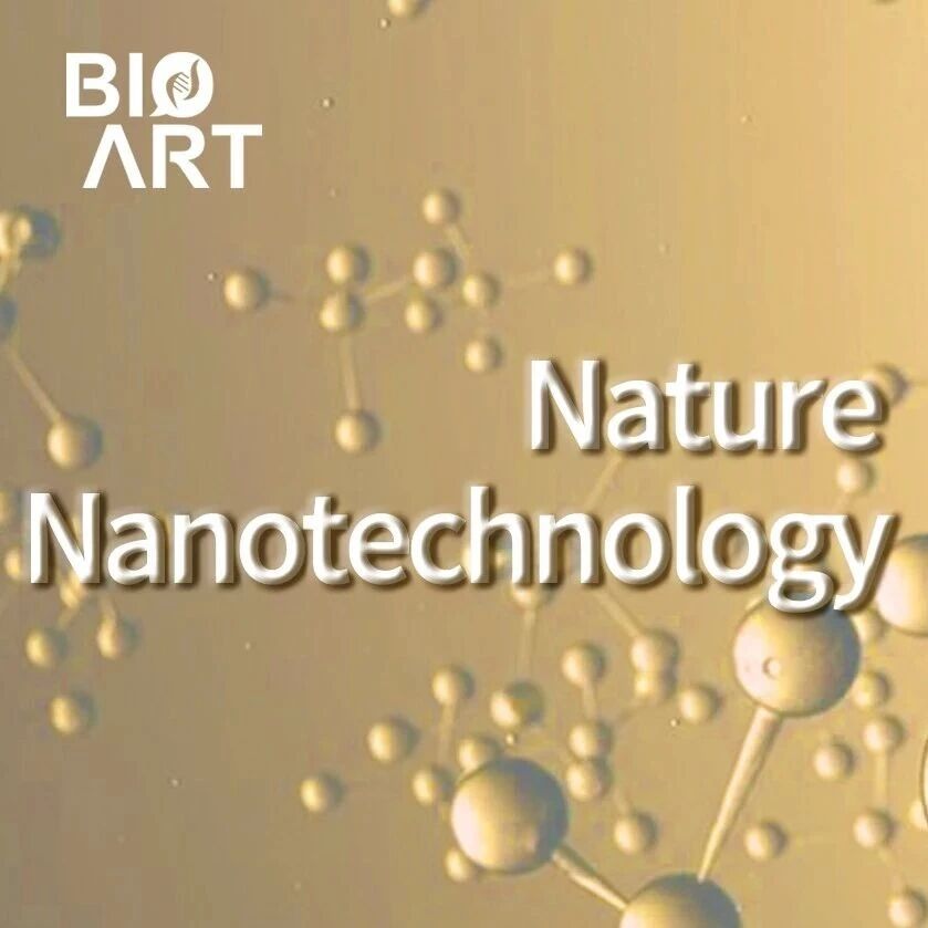 Nat Nanotechnol | 刘昭飞团队开发空间选择性蛋白降解策略，重塑肝癌代谢与免疫微环境