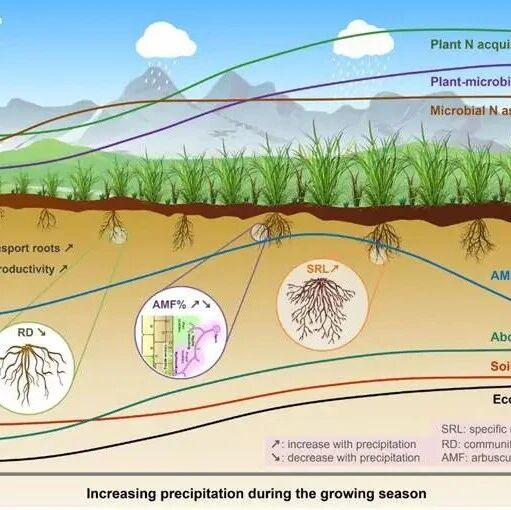 Journal of Ecology | 南京农业大学胡水金教授团队揭示了生态系统不同组分对降水变化的多重非线性响应