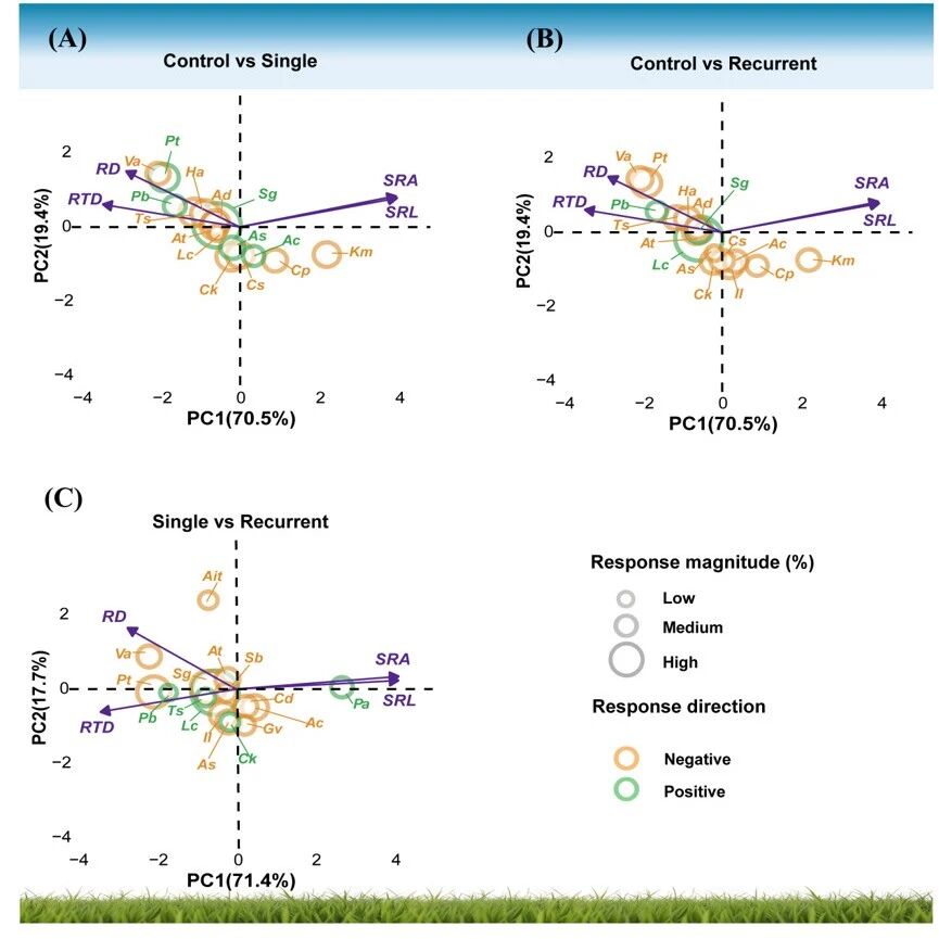 Journal of Ecology | 沈阳应用生态研究所雒文涛研究员揭示干旱胁迫下草地植物细根性状响应机制